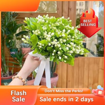 🏆Flash Sale⚡ 50K+ SOLD! Almost Gone💥🌸Jasmine seeds，Best gifts